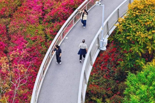 大反转！福建直冲29℃，马上又要降温+降雨！