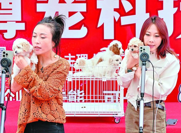 第三届河北·昌黎国际宠物交易大会达成合作意向金额超3亿元