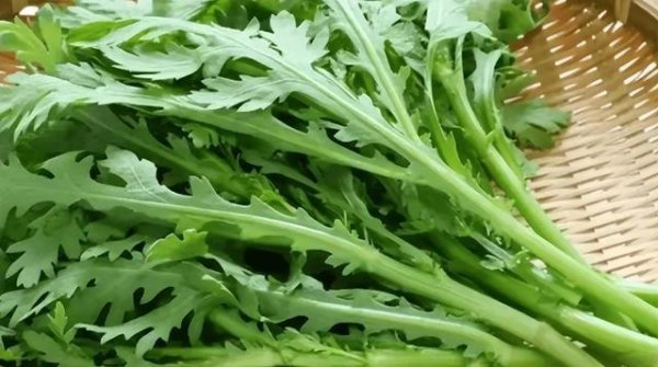 茼蒿再次被点名！医生：吃得越多，肝癌患者病情或有好转？真假？