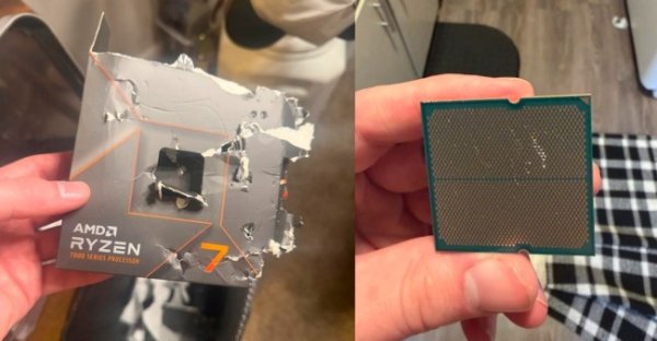 就离谱！网友爆他家的狗咬坏了一颗锐龙7 7700X CPU