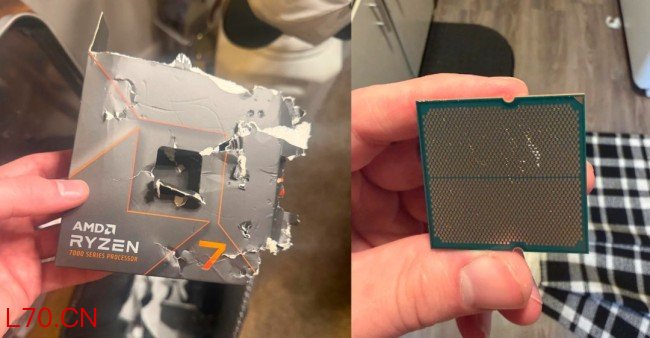 就离谱！网友爆他家的狗咬坏了一颗锐龙7 7700X CPU