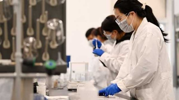 净利翻倍、回购潮涌，科创板生物医药板块长期价值获认可