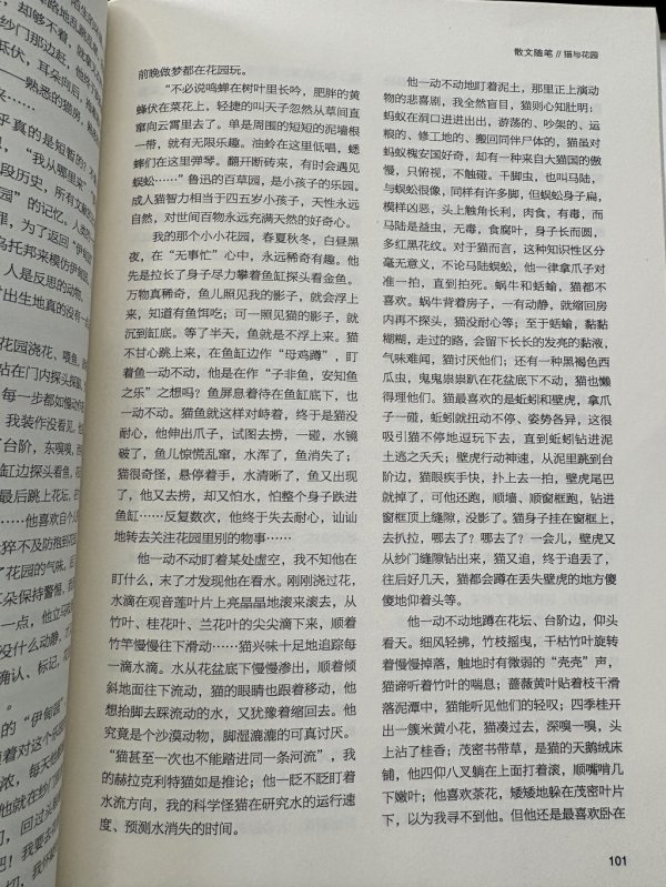 高考语文卷上的“猫文”让考生直呼可爱又疑惑，我们找到作者聊了聊