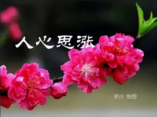 3.11股市早8点丨A股的财富密码在哪？